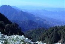 Doi Inthanon National Park Private Tour